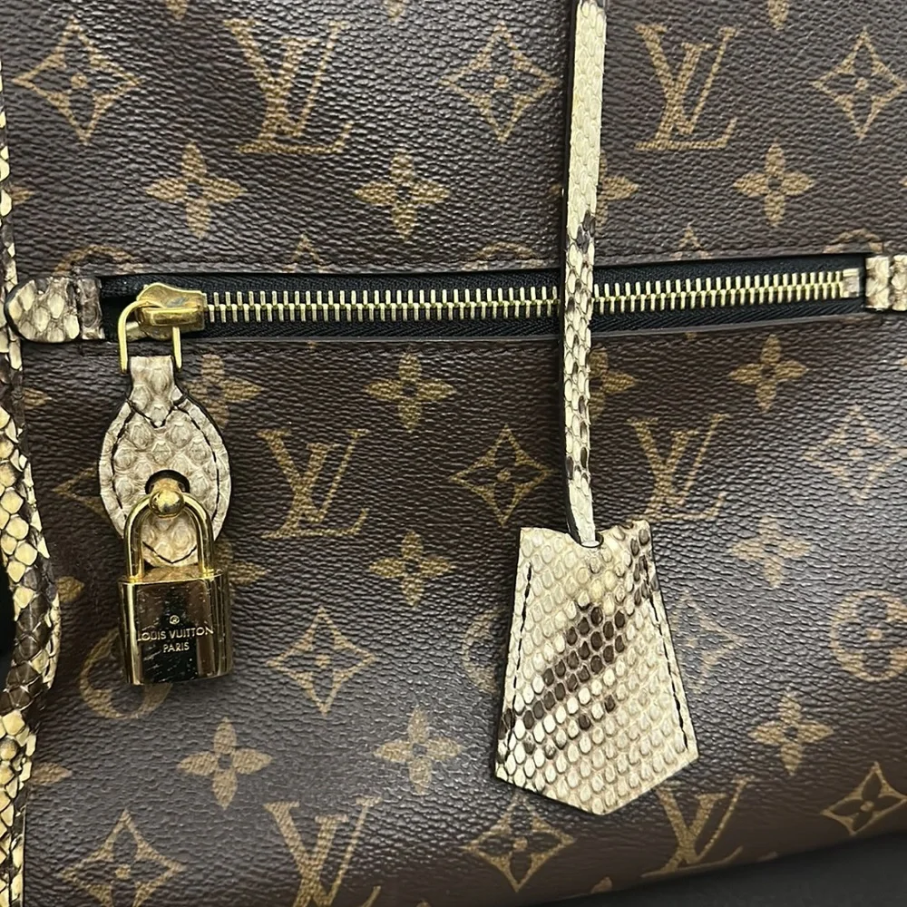 Rare Louis Python Bag - Picture 2 of 12